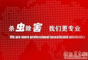 专业除害，守护健康 清波消杀灭鼠服务打造无忧环境