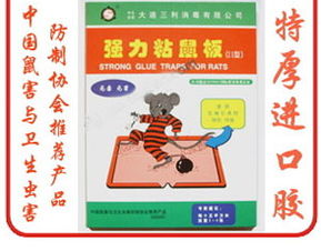 灭鼠用品 达州市灭鼠 达州消毒杀虫 达州康洁消毒杀虫公司 达州灭蟑螂 达州加香除臭 达州白蚁防治