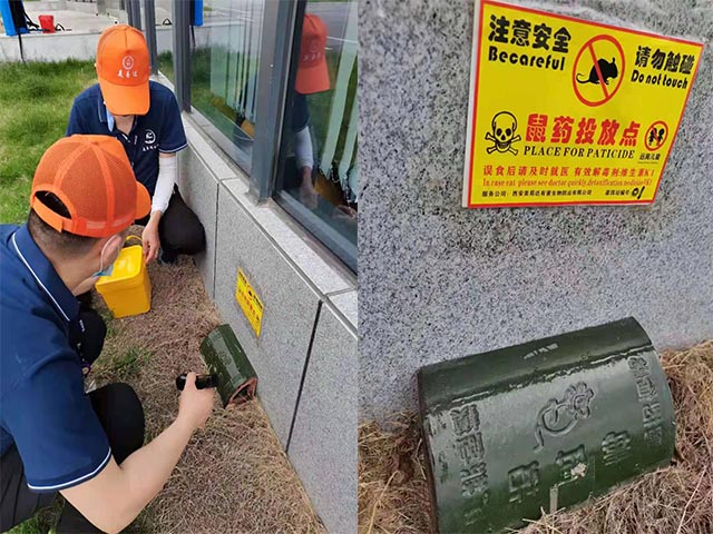 西安工厂灭鼠除蟑螂 选择专业消杀，不走弯路
