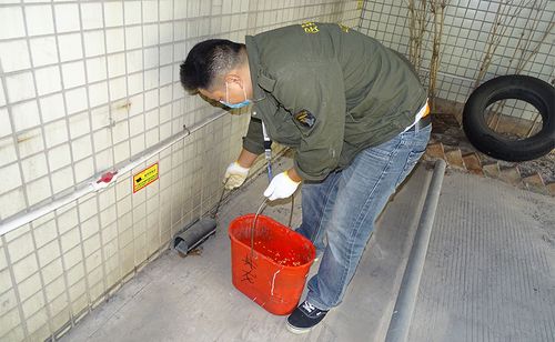 斗门工厂杀虫高栏港工厂灭鼠南屏工厂灭蟑螂金湾工厂杀虫灭鼠洪湾工厂
