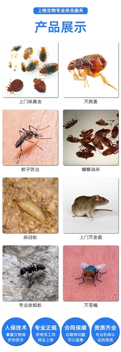 嘉定区工厂灭虫